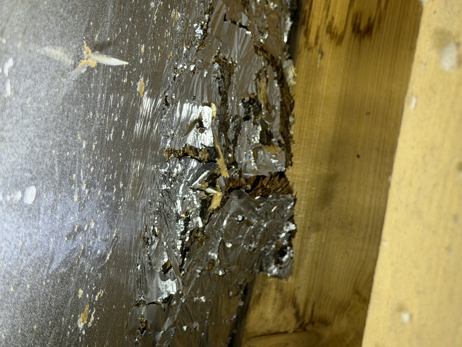 Attic underside of roof deck with torn foil and water staining