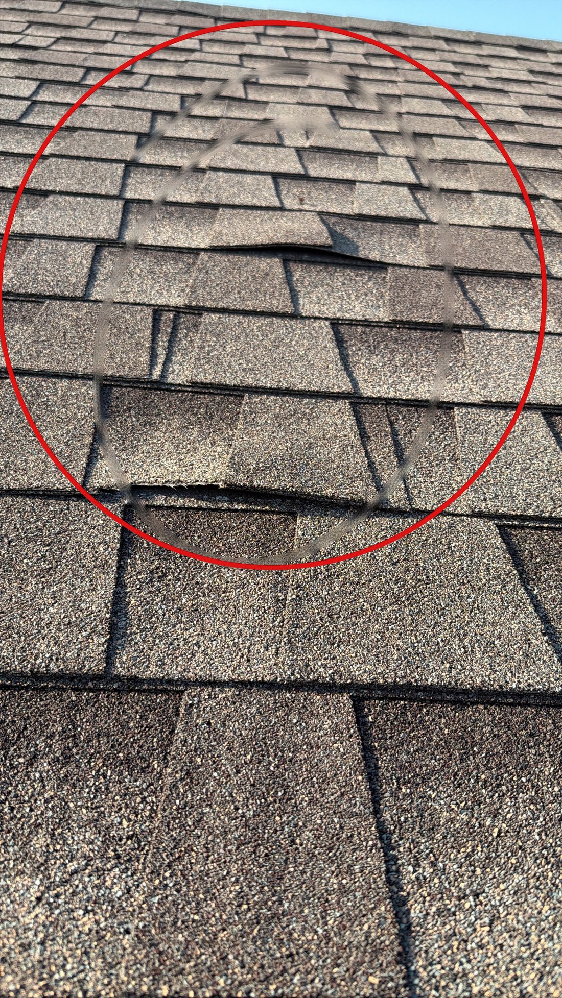 Bulged shingle course on multifamily roof before repair