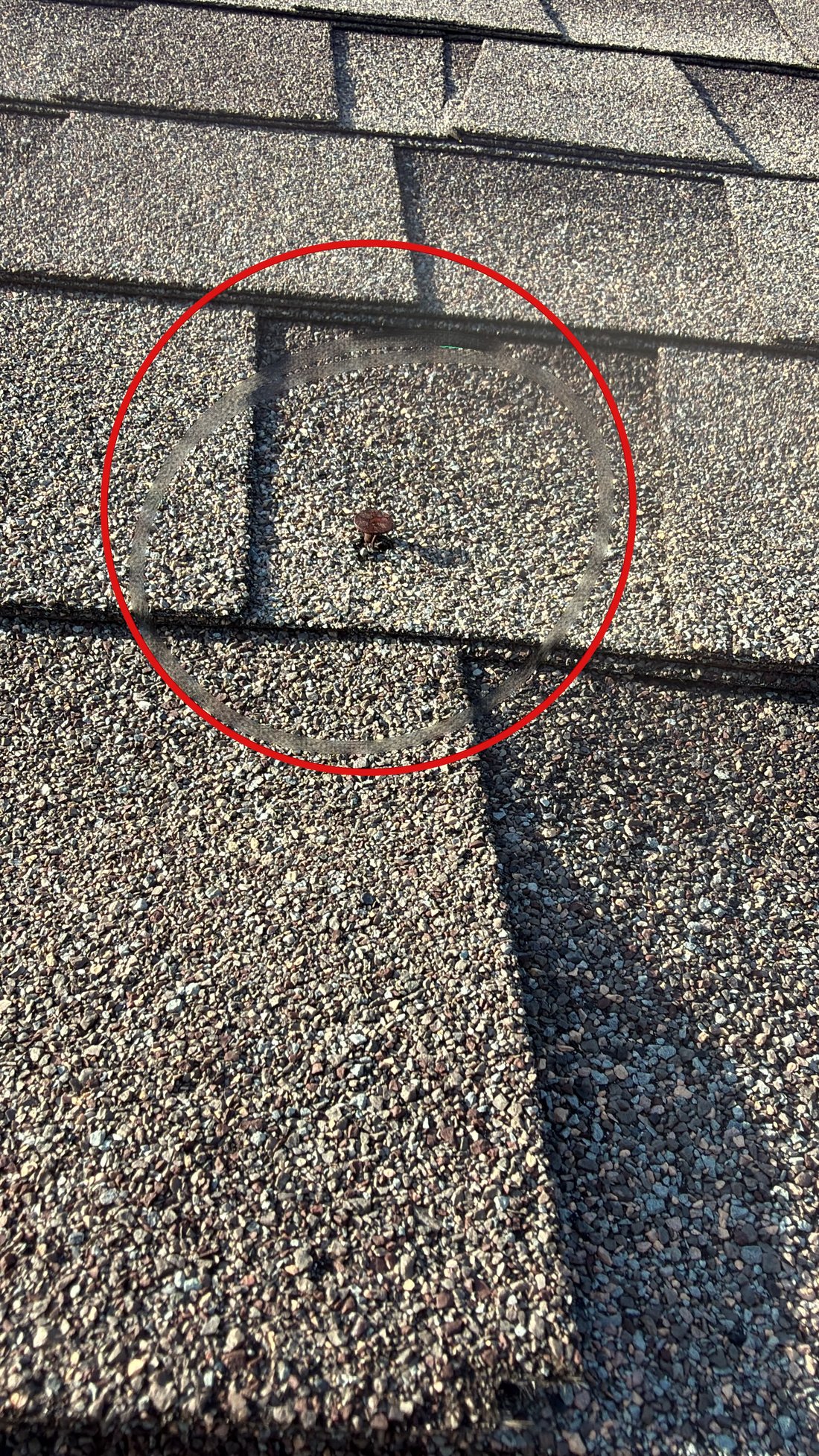 Popped rusted nails under lifted shingles on multifamily roof