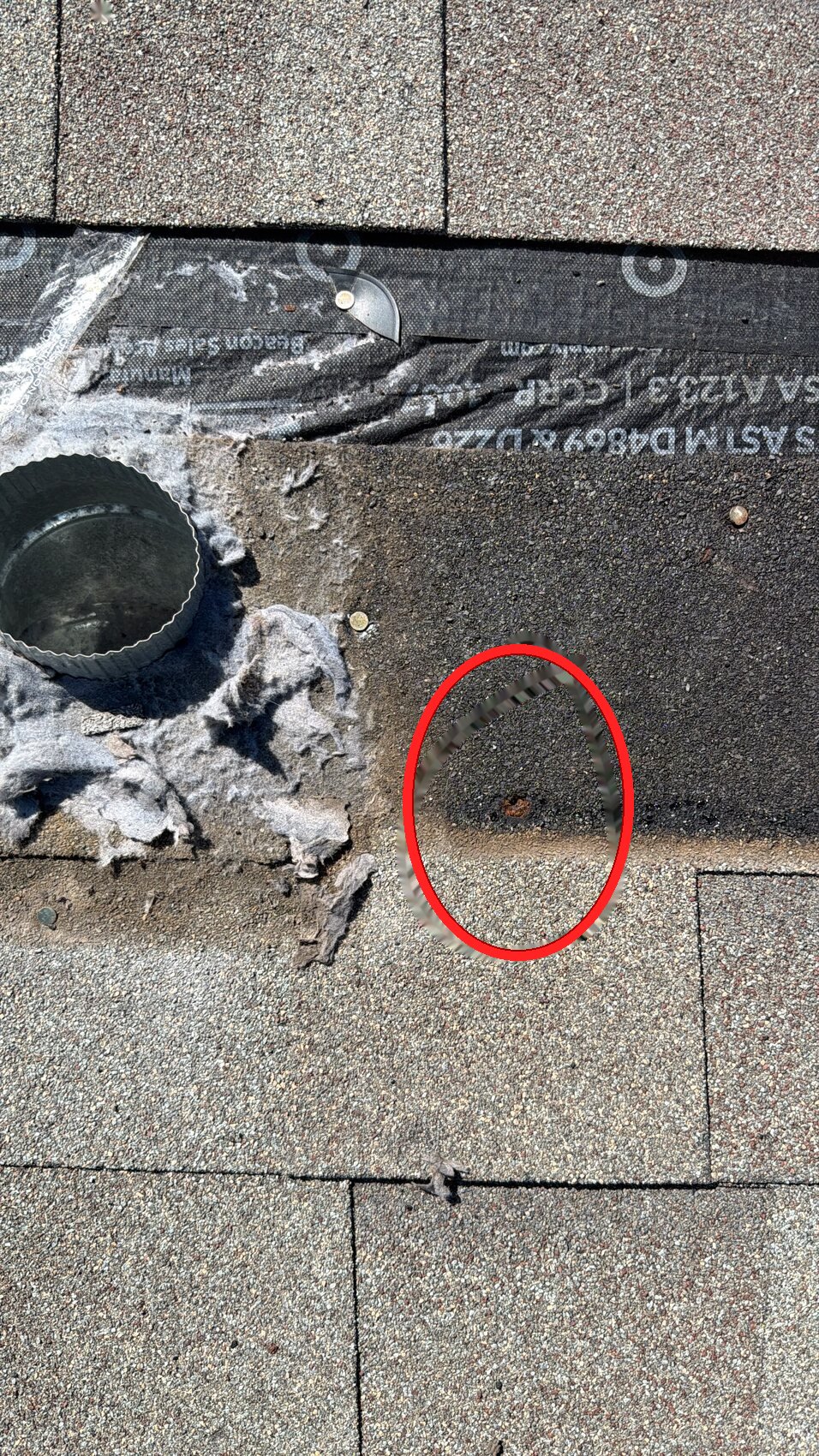 Rusted nail heads near a dryer vent marked as water intrusion weak points