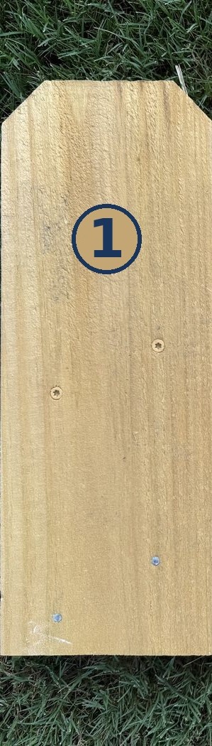 Fence picket 1: Treated pine dog-ear